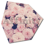 ❥Affinity Modeling