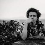 -Harry Fan Group-