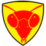 Soldinia Standard Military (SSM)