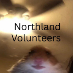 Northland Volunteer Corps
