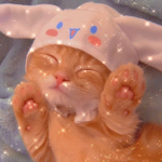 Star cat :)