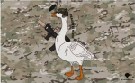 Goose Operations Group