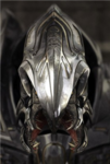 The Sangheili Army (A.K.A The Covenant Empire)