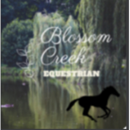 Blossom Creek Equine {Main Game}