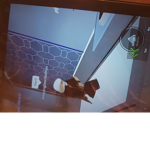AGENCY AGINST ROBLOX BULLYING