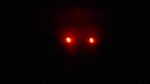 Da Darkness_kingdom