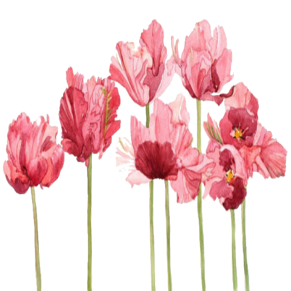 Flowers (Transparent) [FREE] Roblox decal