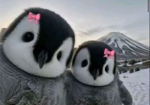 The PenguinClub 0.1