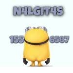 N4LGIT4S