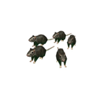 the baddie rats