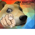 Doge army fan club!