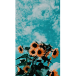 Aesthetic.x.girlies