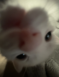 r0mant1c_lov3rz