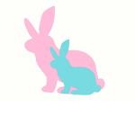 The Bunny! Group
