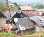 Julekov hood