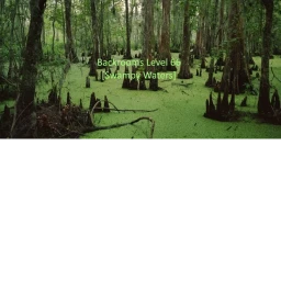 Backrooms Level 66 [Swampy Waters] icon