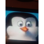 The Penguin Famliy