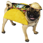 Fancy Tacos