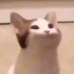 BK的乐园