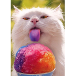 Silly Kitties!