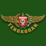 Batalyon Infanteri Para Raider 305/ Tengkorak