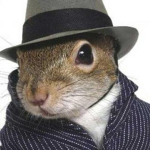 Squirel gang