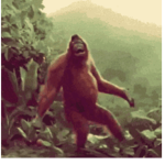 Team Sus Monkey
