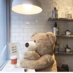 fluffy teddy bears