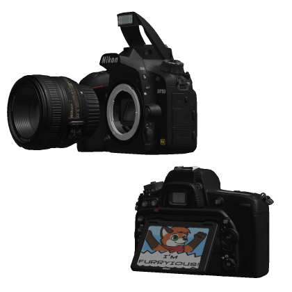 Nikon D750 Full Frame DSLR Camera 