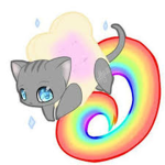 Kitty Cat Fan Group!!!