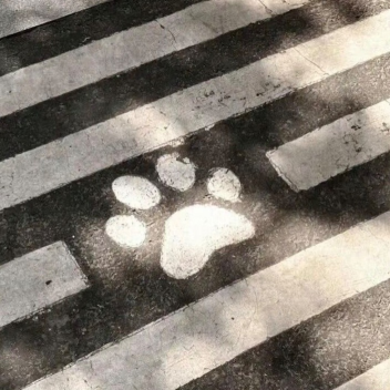 ✧