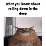 WHAT YOU KNOW BOUT' ROLLIN DOWN IN THE DEEP