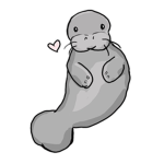 Manatee group!