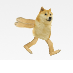 Race