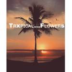 Tropical…flowers