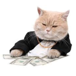FatCatGotsMoney