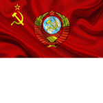 Dima 113
