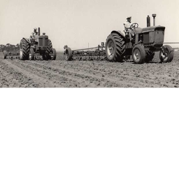 Farming Estate