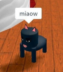 naw_21