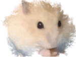 Hamster's Group