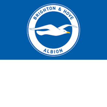 Brighton | Match Pitch