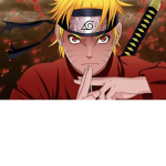 Ninja 4980