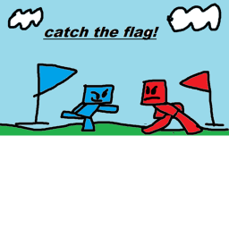 catch the flag!