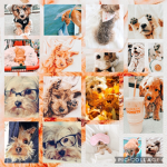 Caitlin’s army of love