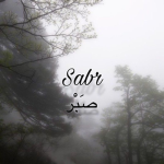 sabr .