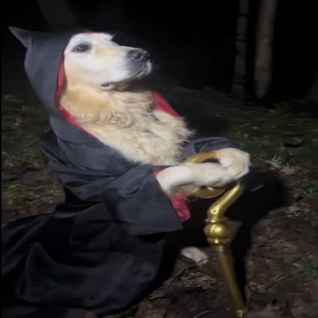 wizard blaster