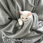 Kitty Boutique