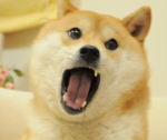 GoofyDoges