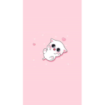 Fluffy Group ima dog