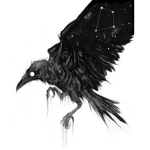 Black Seers[Ro-ghoul]